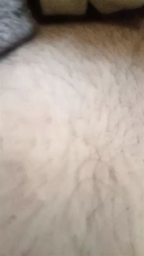 Saxi Video Pthain Free Gay Cum Tribute HD Porn Video B7 XHamster