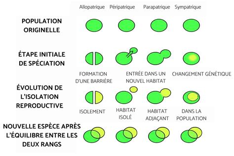 Sp Ciation D Finition Et Exemples