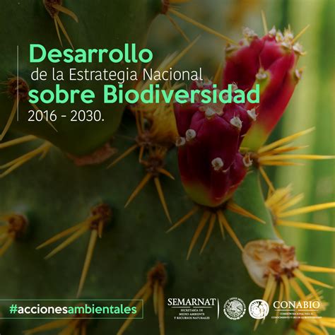 Accionesambientales Estrategia Nacional Sobre Biodiversidad De México