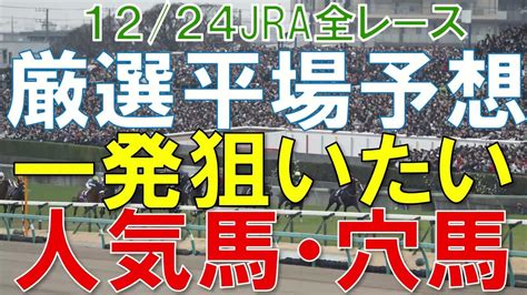 Jra 競馬予想 厳選平場予想 12月24日に狙いたい人気馬・穴馬 中山大障害・阪神カップで狙いたい馬も 競馬動画まとめ