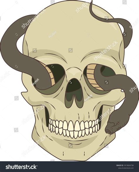 Painted Skull Snake Crawling Out His Stock Vector Royalty Free