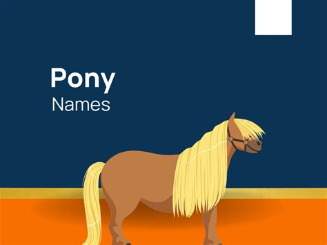 1020 Pony Names For Your Magical Companions Generator