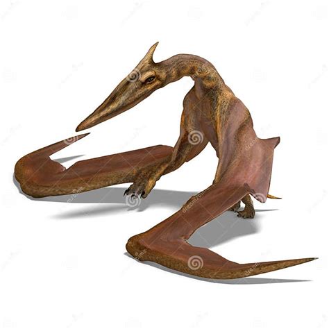 Quetzalcoatlus Stock Illustration Illustration Of Bird 9637826