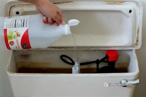 How To Clean A Toilet Tank And Keep It Clean