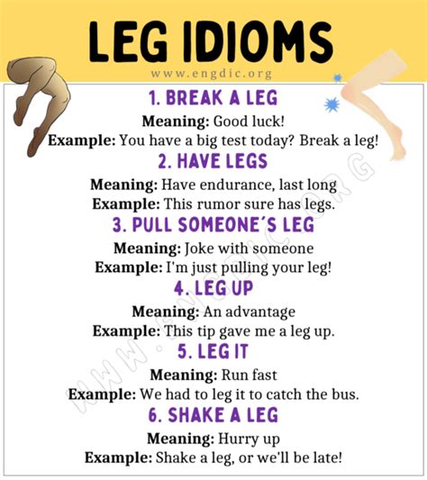 Legs Idioms With Meaning And Examples Engdic