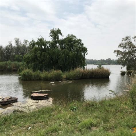 Vaal River Camping Happy Campers Sa