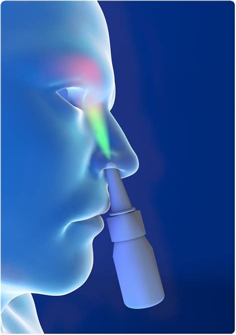 Nasal Spray Types And How To Use Them 46 OFF