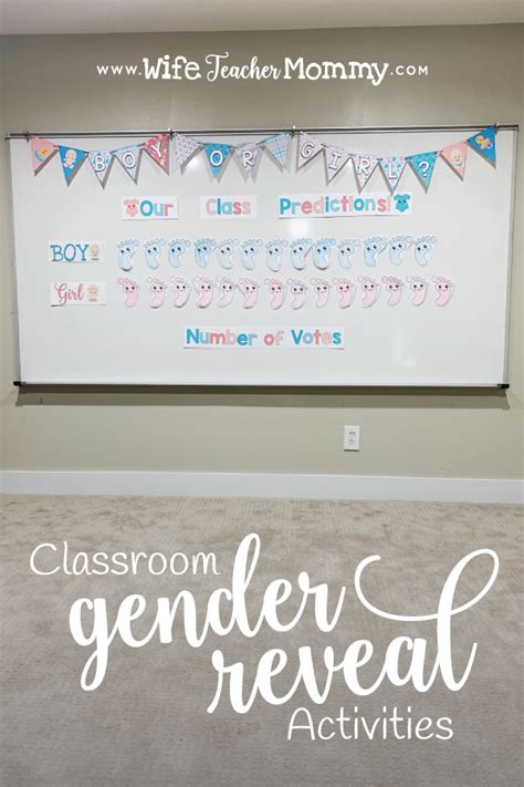 Classroom Gender Reveal Activity Baby Gender Prediction Wife Teacher