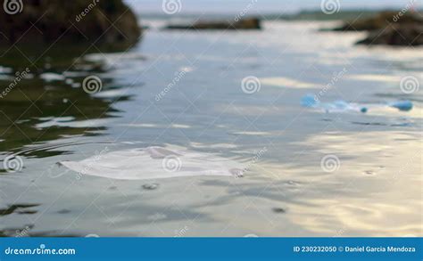 Slowmotion Of Medical Waste Masks Garbage Trash On Sea Water