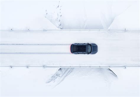 tips for canary making noise without vet