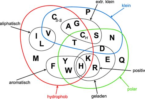 Venn Diagramm der Aminosäuren