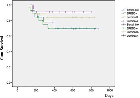 Disease Free Survival Dfs And Subtypes Download Scientific Diagram