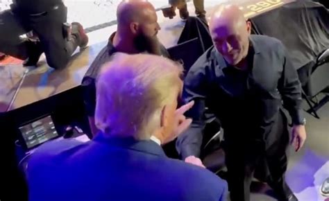 Video Trump Has Friendly Moment With Joe Rogan At Ufc