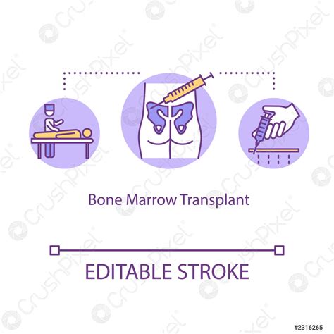 Trasplante De Médula ósea Concepto Icono Tratamiento De C Vector De Valores Crushpixel