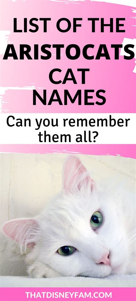 What Are All The Aristocats Cat Names That Disney Fam