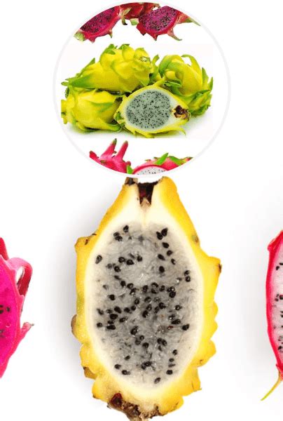 Descubre los increíbles beneficios de la pitaya La fruta de moda en