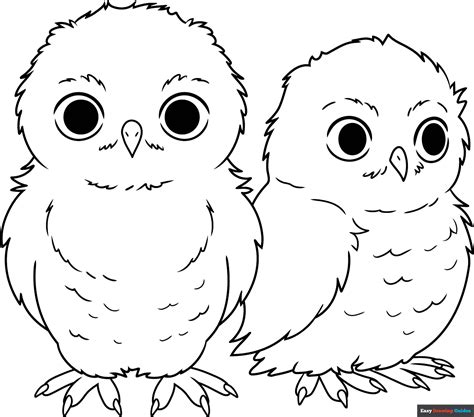 Owl Babies Coloring Page | Easy Drawing Guides