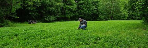 5 Steps To Growing The Perfect Clover Food Plot