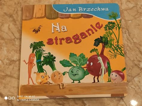 Na Straganie Jan Brzechwa Warszawa Kup Teraz Na Allegro Lokalnie