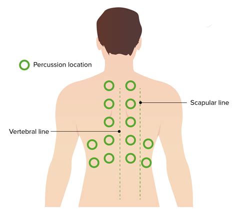 Examen Pulmonar Concise Medical Knowledge