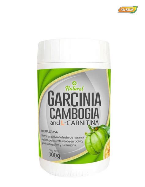 Garcinia Cambogia Que Es Y Para Que Sirve Edu Svet Gob Gt