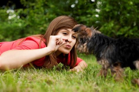 Por Que Os Cachorros Comem Grama Causas E Tratamento