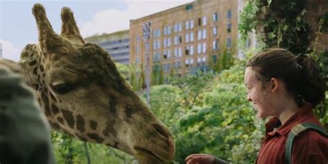 The Last Of Us Why The Giraffe Scene Is So Important