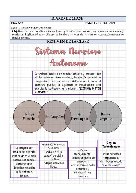 Sistema Nervioso Autónomo Karla Isabel Feijoo Macias uDocz