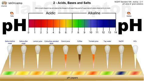 Ncert Class 10th Activity 211 Acids Bases And Salts Ph Value Of