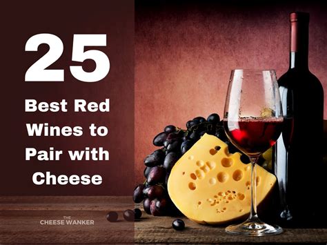 25 Best Red Wines to Pair with Cheese (Old & New World)