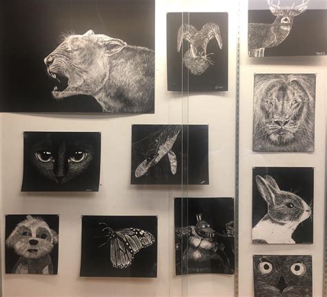 Beautiful drawings of wildlife spotted @ local high school : r