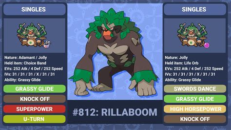 THE BEST MOVESET FOR RILLABOOM IN POKEMON SWORD AND SHIELD TechDuffer