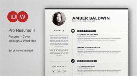 Resume Templates Adobe Illustrator 5 TEMPLATES EXAMPLE TEMPLATES