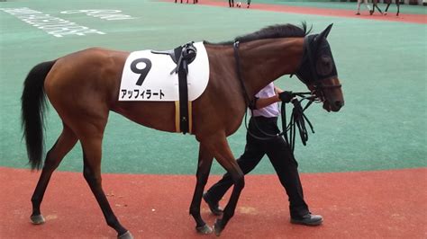 【ディープインパクト産駒が通算1200勝】jra史上最速1位でのスピード達成！！ 神競馬マガジン