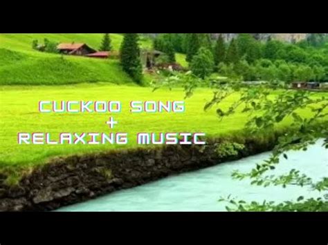 Asmr Cuckoo Symphony Amusing Sounds In Lush Green Mountains Around