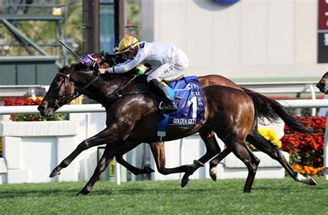 香港チャンピオンズマイル（g1） 2022424日 日程・結果 Jra Van World 海外競馬情報サイト