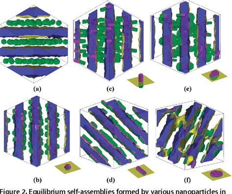 Figure 1 From Self Assembly Of Janus Nanoparticles In Diblock