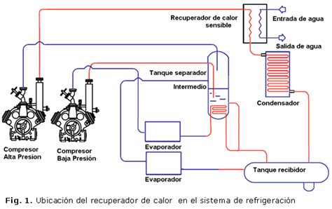 Mayor Una Herramienta Central Que Juega Un Papel Importante Culo