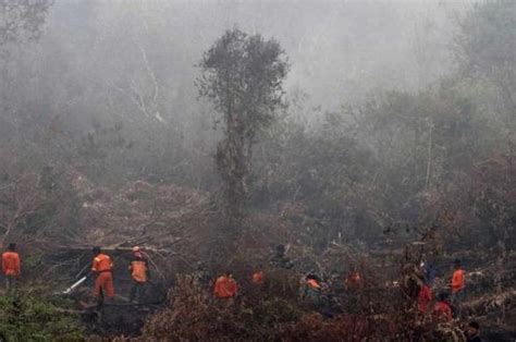 Kilas Balik Kebakaran Hutan Terparah Yang Pernah Terjadi Di Indonesia Hai