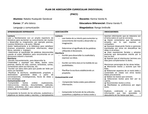 Ejemplo Paci Adecuaciones Curriculares Plan De Adecuaci N