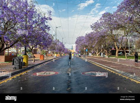 Abha Saudi Arabia April 1st 2021 Art Street Stock Photo Alamy