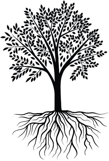 Plant Roots Png Download Tree Root Vector Png 520x520 Png Clipart Download