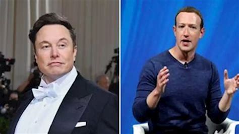 Elon Musk desafia Mark Zuckerberg para competição de tamanho de órgão