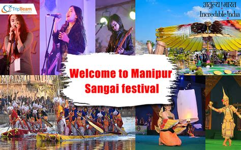 Catch The Captivating Glimpses Of Manipur Sangai Festival