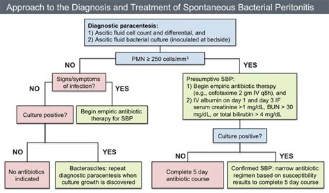 Spontaneous Bacterial Peritonitis - REBEL EM - Emergency Medicine Blog