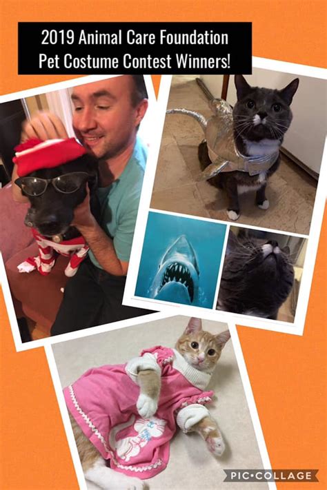 Pet Costume Contest Winners! - Animal Care Foundation of Minnesota