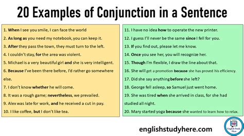 Examples Of Conjunction In A Sentence In English English Study Here