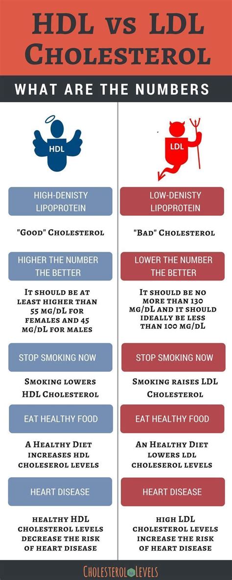 Hdl Vs Ldl Cholesterol Its Important To Know The Difference Between