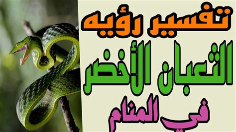 تفسير رؤيه الثعبان الأخضر في المنام للعزباء والمتزوجه والمطلقة والرجل والحامل - YouTube