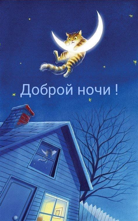 Pin by Olga Lapina on Ночь | Black cat art, Cat art, Good night